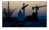Dawn Towers.jpg