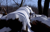 DSC_4024_s.jpg
