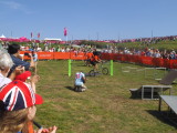 Trick Cycling Display at Hadleigh Farm