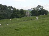 Shap Abbey