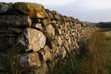 Long wall 2