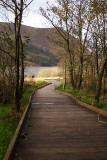 Llyn Cwellyn 2.JPG