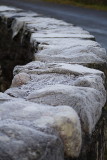 Frost on Bridge