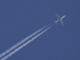 Nimrod