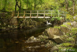 Camlan Footbridge 1