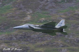 F15D Eagle