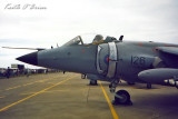 Sea Harrier 1987