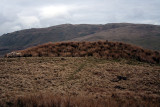 Splinter Proof Shelter