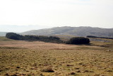 Mynydd Bach Gun Park