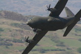 Herc006.JPG