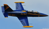 L-39 Blue Angel