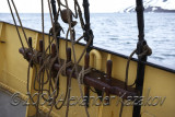 Svalbad_2517.jpg