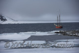 Svalbad_2523.jpg