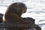 Ecuador - Galapagos