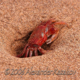 Ecuador - Galapagos