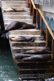 Ecuador - Galapagos