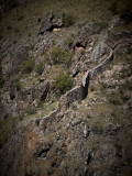 GEO_MG_6630.jpg