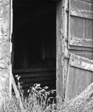 Doorway, abandoned Harris ranch, Stella, Nebraska.jpg