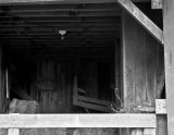 Hay storage, abandoned Harris ranch, Stella, Nebraska.jpg