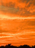 Sunset 7, Norfolk, VA, 3 May 2010.jpg
