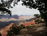 grand-canyon