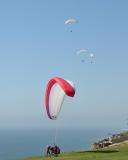 Paragliding at Torrey Pines Glider Port