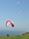 Paragliding at Torrey Pines Glider Port