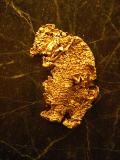 Natural California Gold in the shape of a Bear