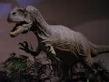 Alosaurus, Carnivorous Dinasaur
