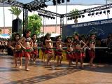 Puahi's Polynesian Dancers