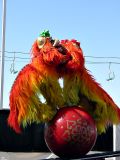 Peking Acrobats