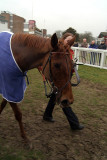 In the Winners Enclosure