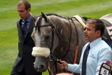 Horse Prior to Race Royal Ascot 02