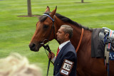 Ouqba Before the Race Royal Ascot