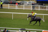 Never on Sunday Cantering to Post, Royal Ascot