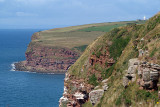 Cliffs at St Bees
