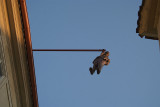 Man Hanging Out by David Cerny Prague 02