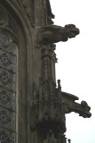 Building Detail - Windows and Gargoyles 02