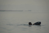 Swimming with a Ring in the Ganges