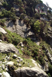 On the Path to Triund