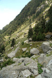 Rocks Along the Path to Triund