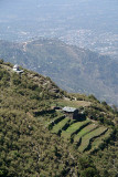 Smallholding on Hill with Dharamsala in Background