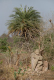 Hanuman Statue in Field