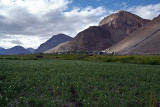 Fields near Kaza