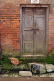 Chicken by a Door Bhaktapur