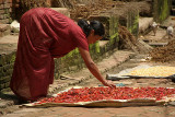 Woman Drying Chilies in Bhaktapur