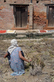 Woman Drying Peas Bhaktapur