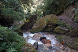 River by Path from Ghorepani