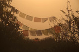 Prayer Flags and Mist Poon Hill