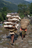 Man Carrying Chickens near Birethanti